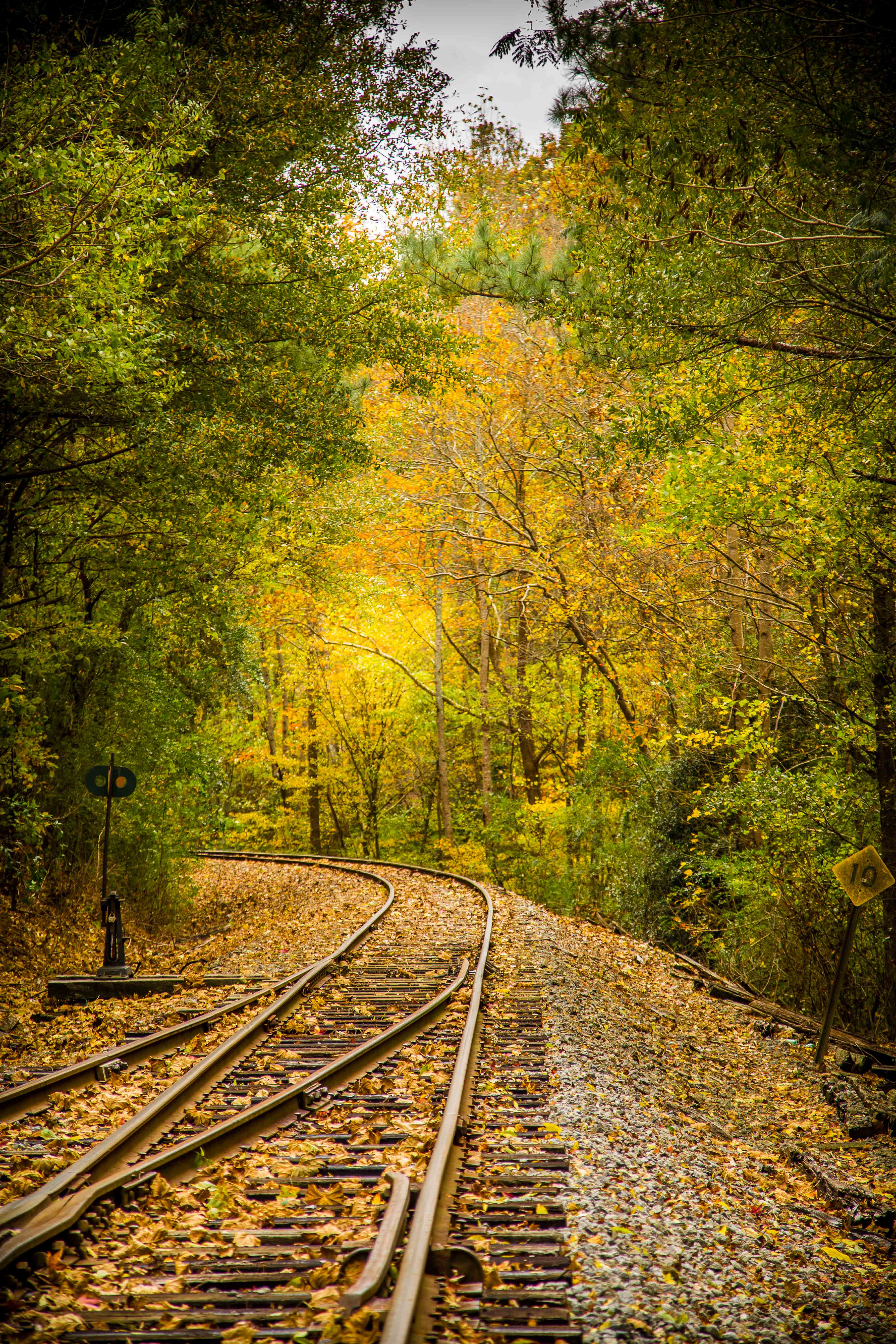 Old Rail Line | Shutterbug